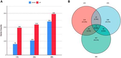 Transcriptome and metabolome comprehensive analysis reveal the molecular basis of slow-action and non-repellency of cycloxaprid against an eusocial pest, Solenopsis invicta